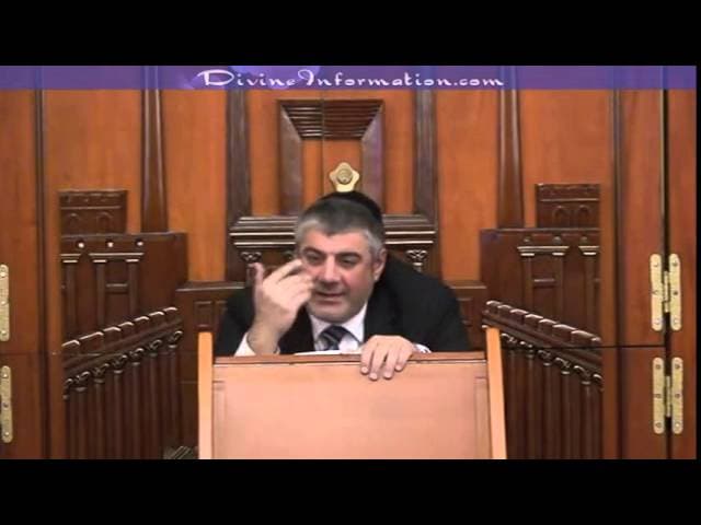 Psalm (Tehilim) Series #32 (Chapters 94-96)