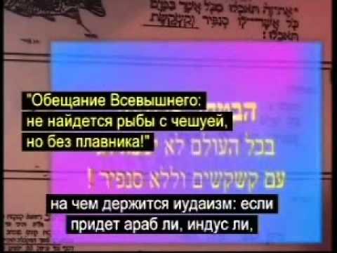 Divine Information (in Hebrew with Russian Subtitles)