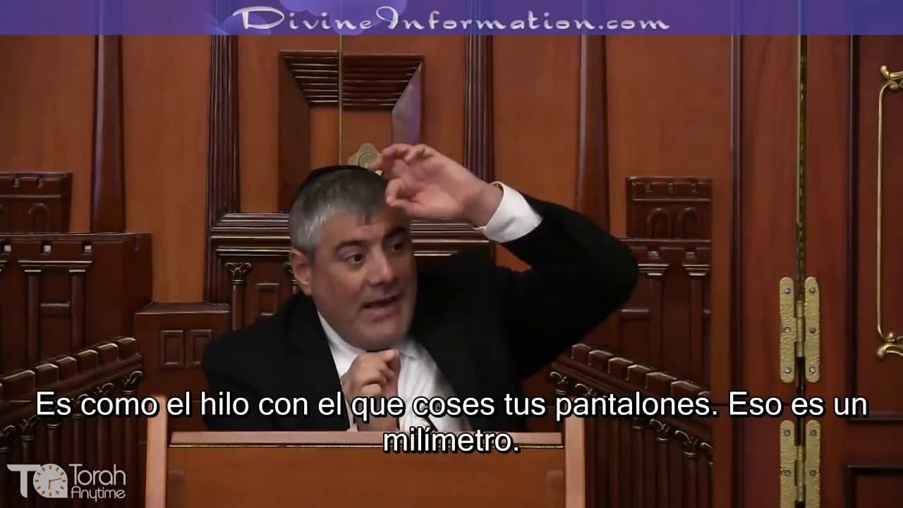 Los Caminos de los Justos 14 (Orjot Tzadikim) Envidia y Diligencia