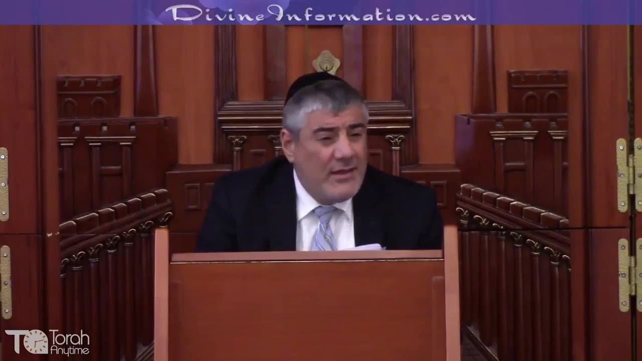 Los Caminos de los Justos 11 (Orjot Tzadikim) Alegría