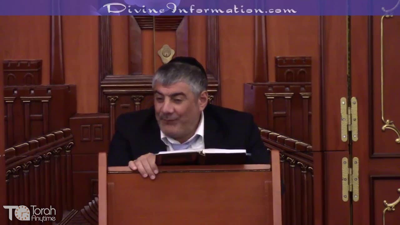 Los Caminos de los Justos 08 (Orjot Tzadikim) Odio
